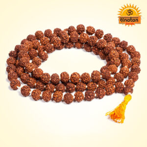 Rudraksh Mala 108 Dana