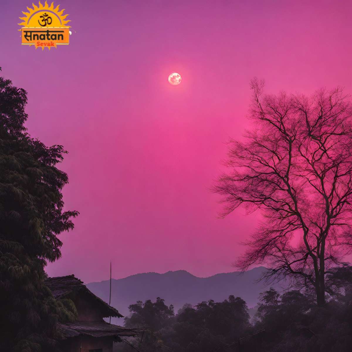 Reason of Pink Sky - Sanatansevak